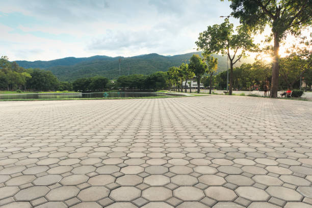 Best Driveway Pavers for Homes  in Shoh, IL